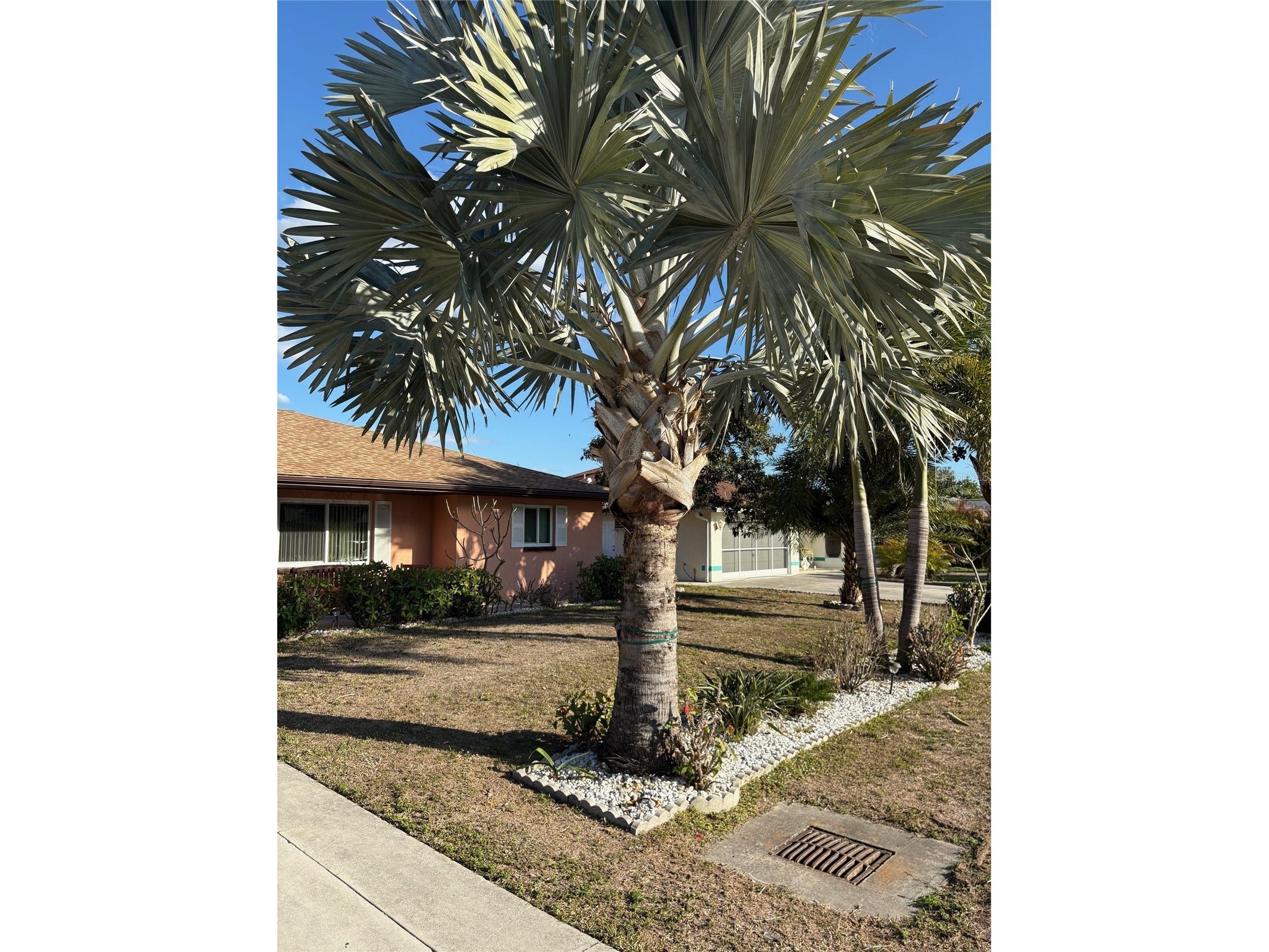 321 Venetia Avenue North Port FL 34287 C7522207 image28