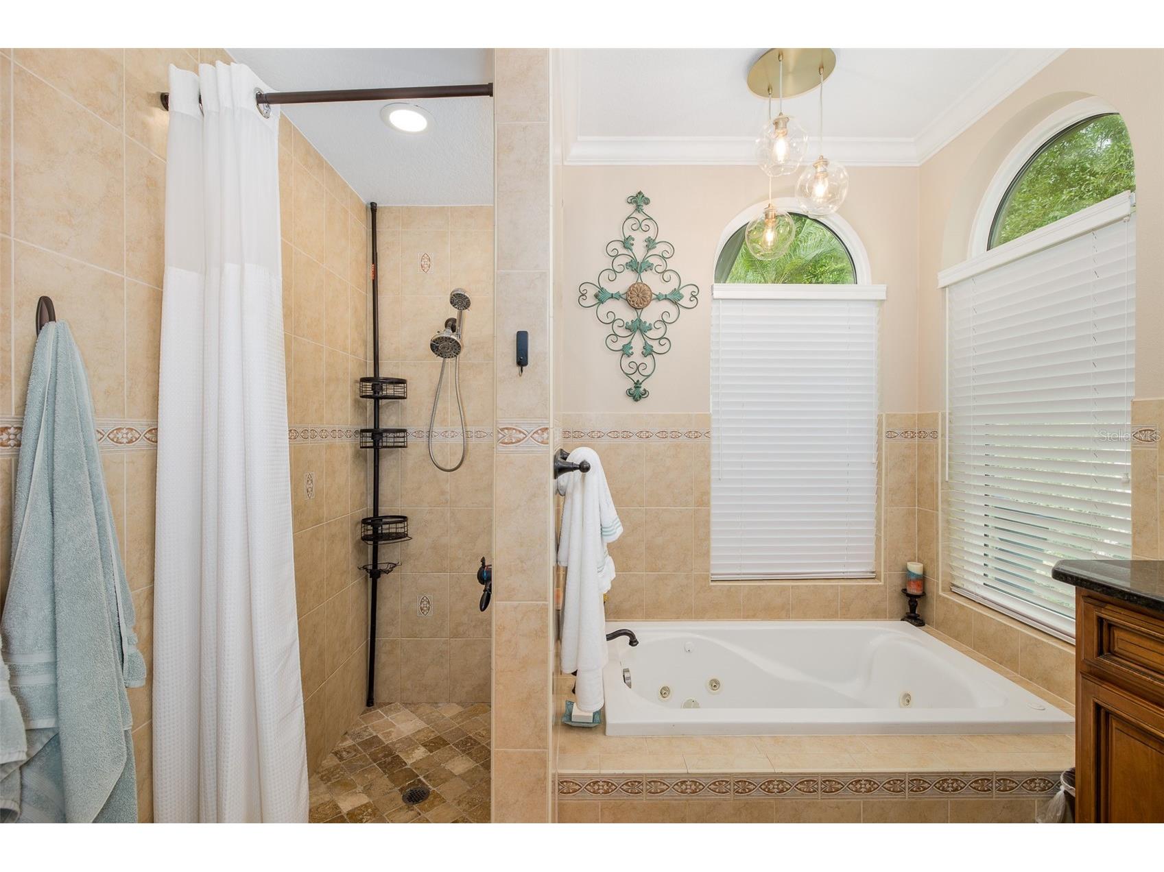 321 Waterford Circle E Tarpon Springs FL 34688 W7886163 image22