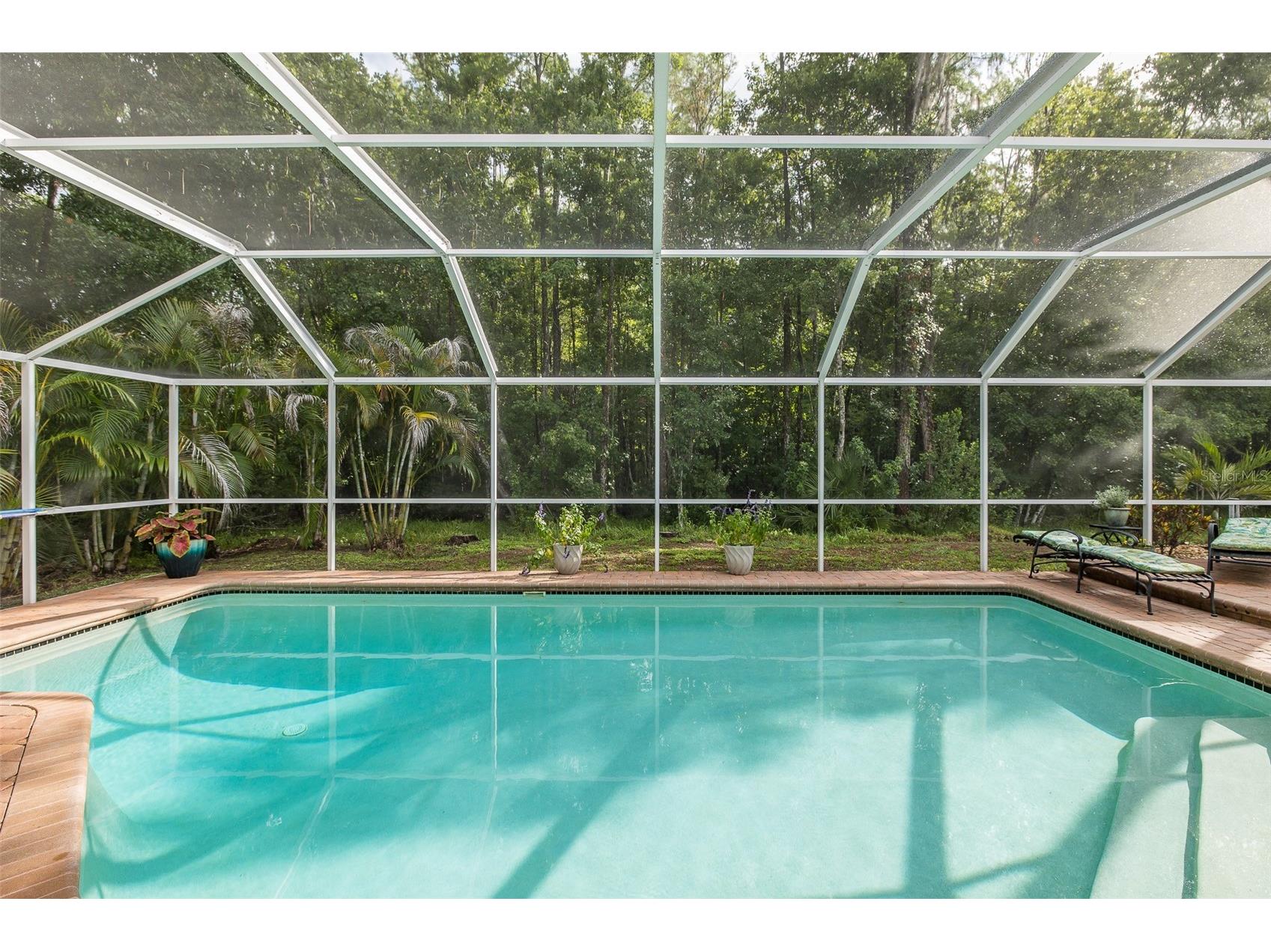 321 Waterford Circle E Tarpon Springs FL 34688 W7886163 image43