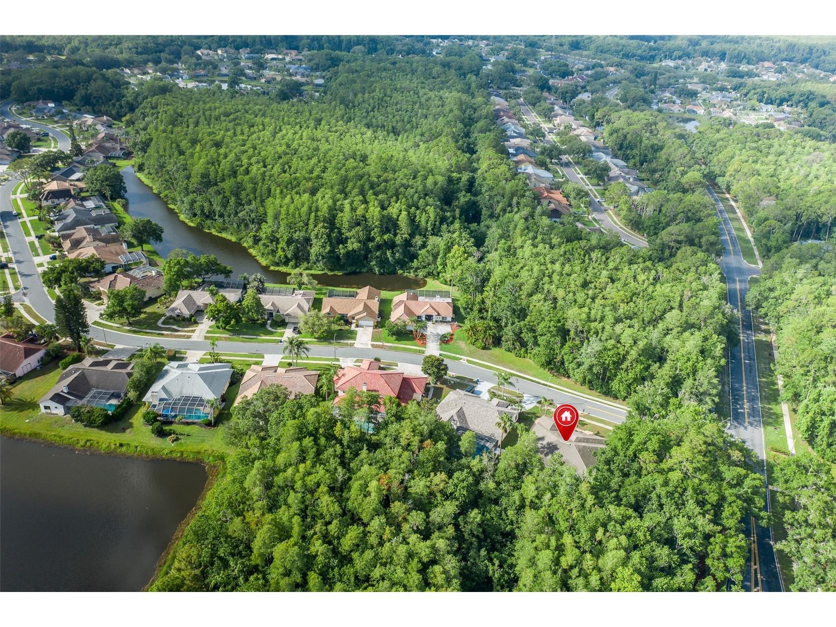 321 Waterford Circle E Tarpon Springs FL 34688 W7886163 image54