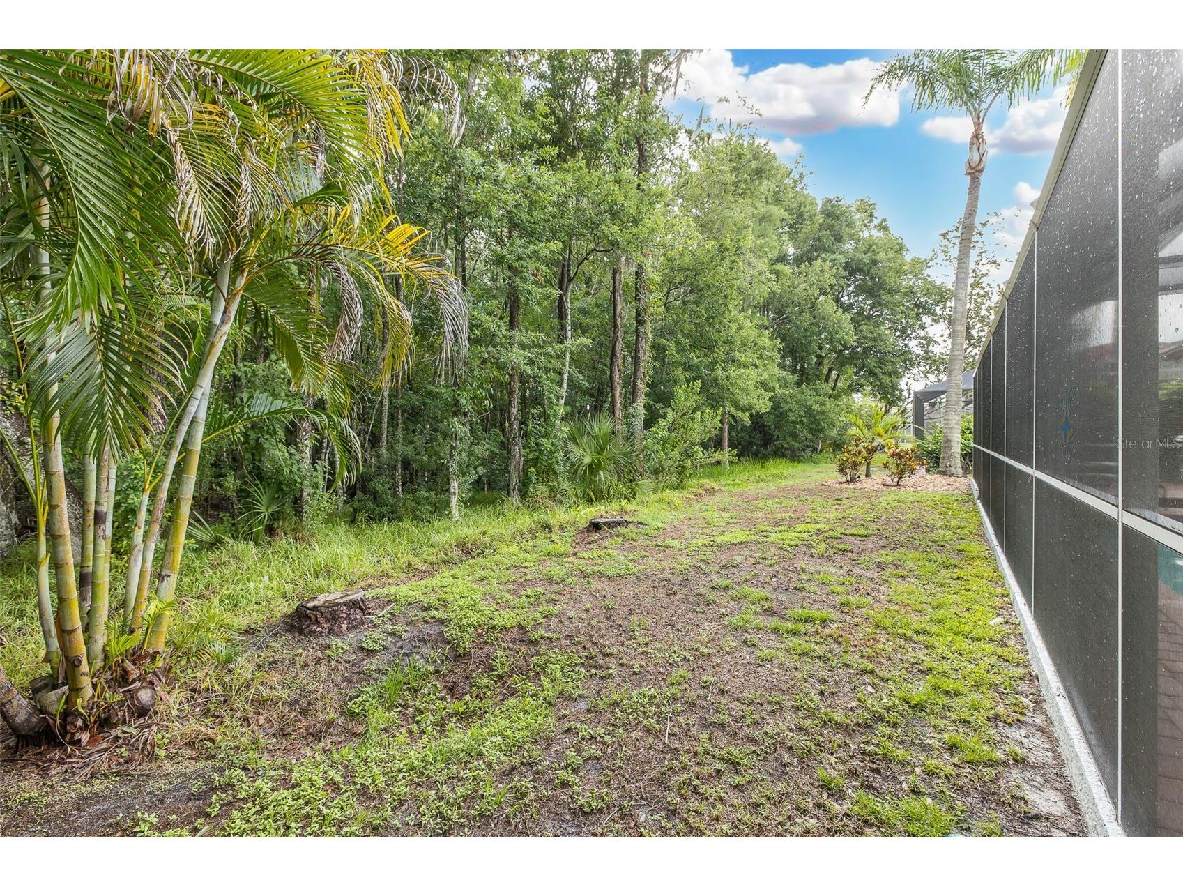 321 Waterford Circle E Tarpon Springs FL 34688 W7886163 image56
