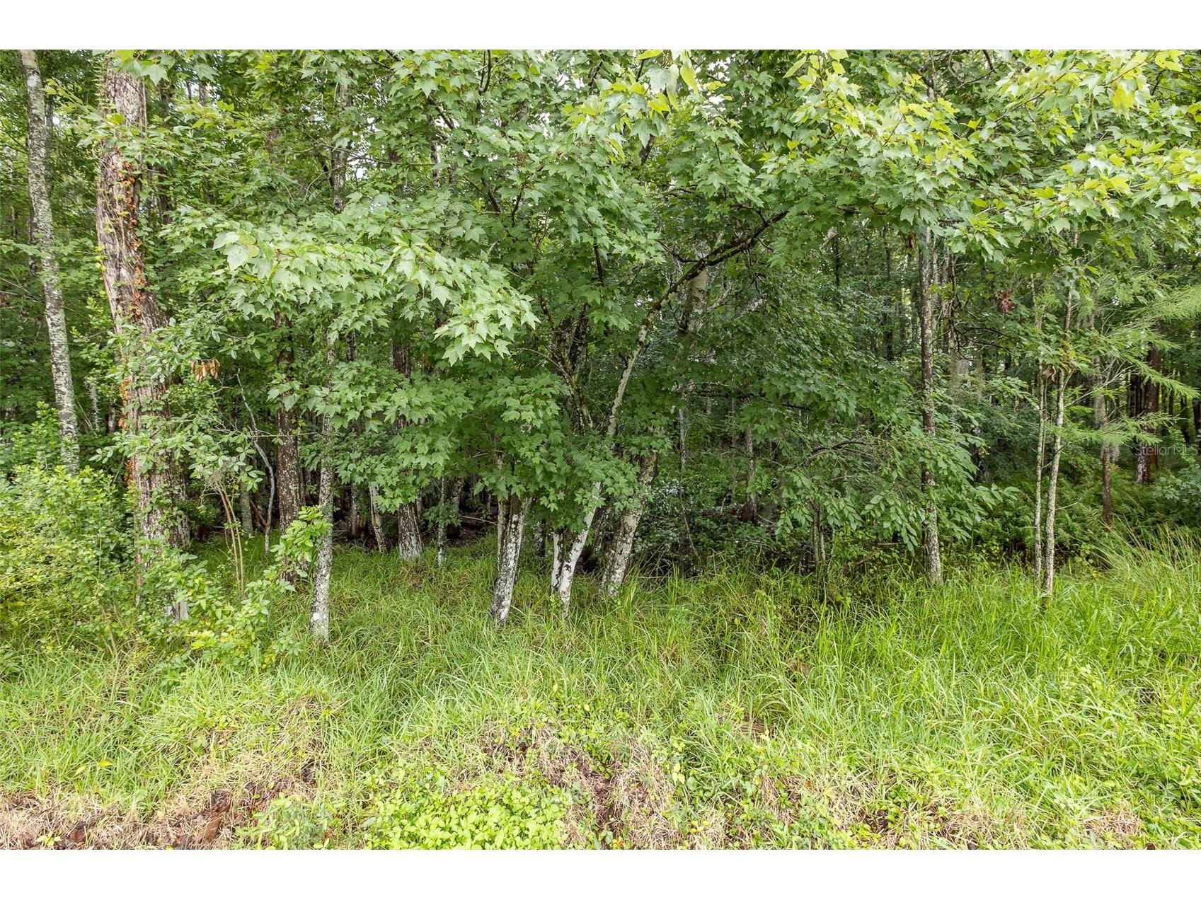 321 Waterford Circle E Tarpon Springs FL 34688 W7886163 image60