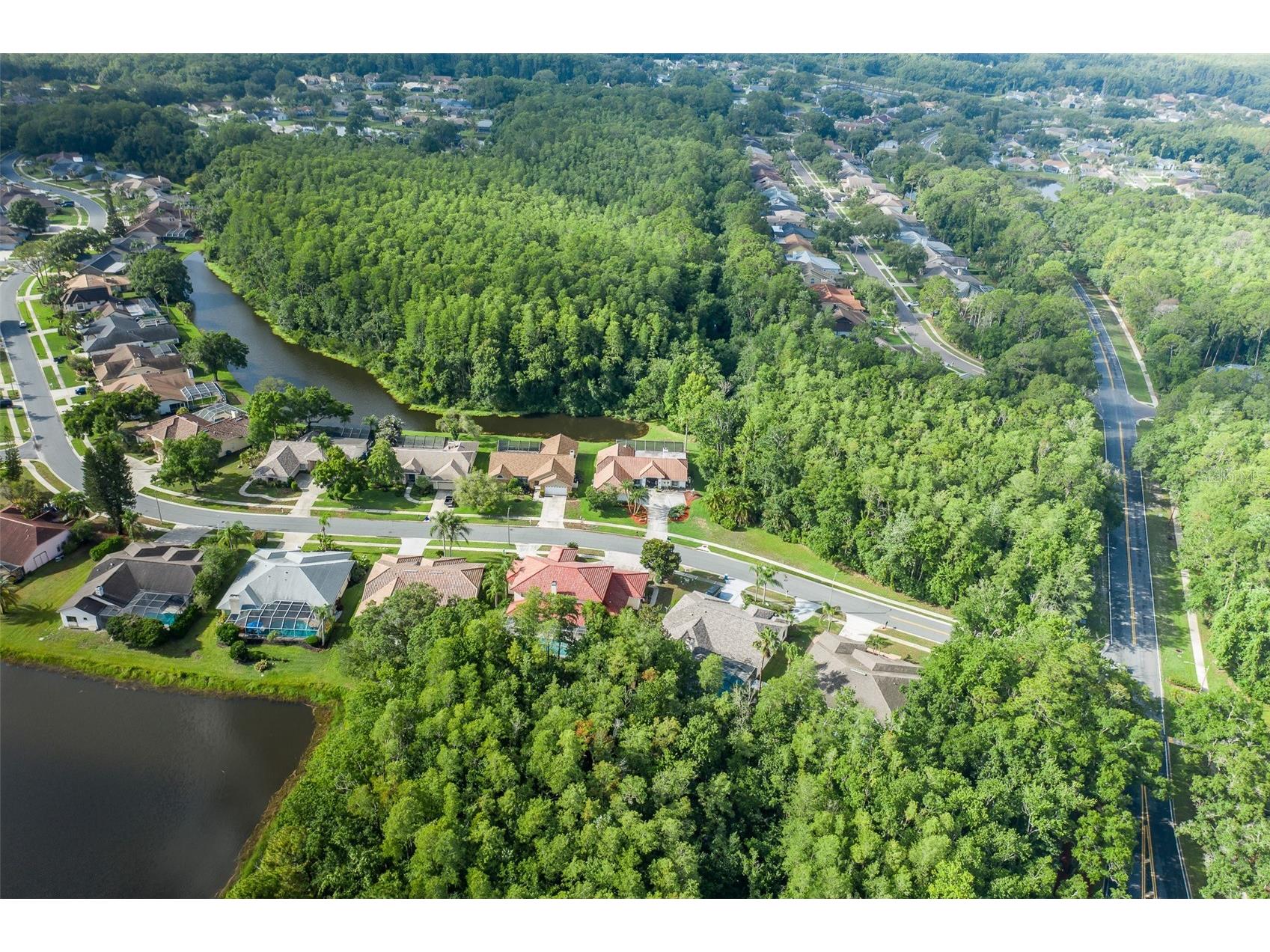 321 Waterford Circle E Tarpon Springs FL 34688 W7886163 image65