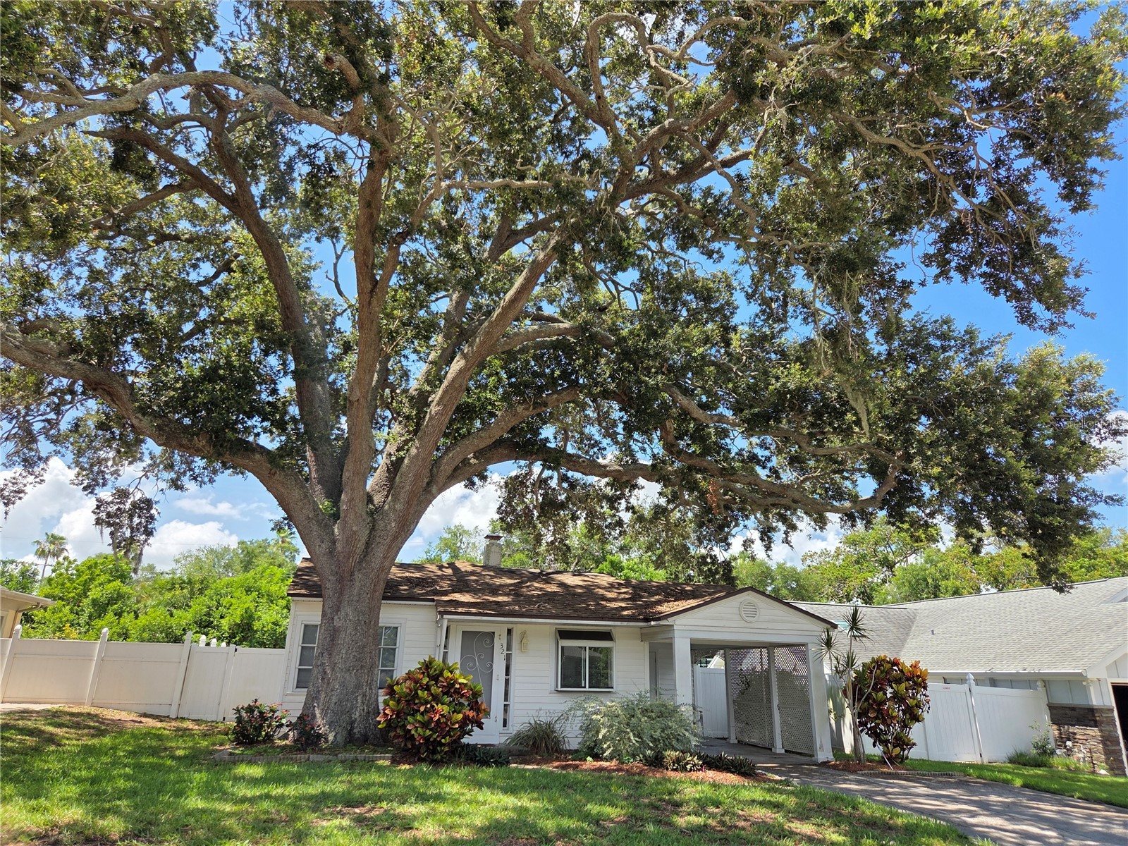 321 Wildwood Way Belleair FL 33756 TB8525382 image2