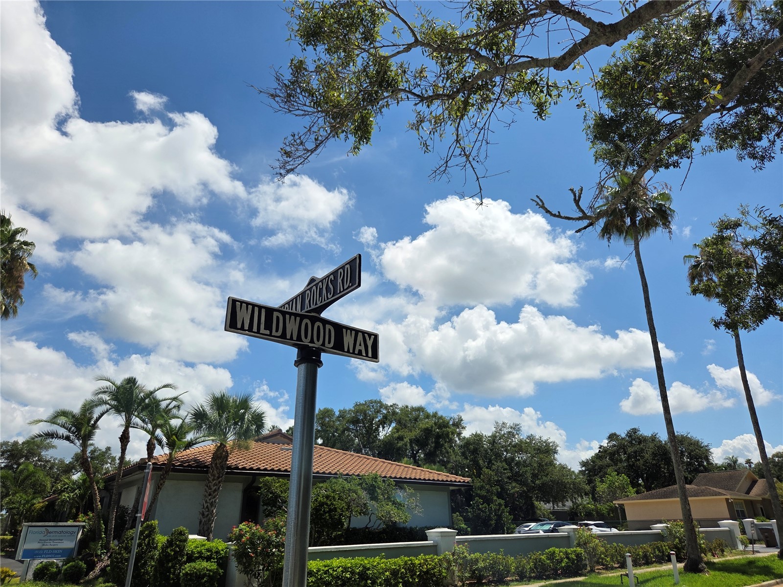 321 Wildwood Way Belleair FL 33756 TB8525382 image23