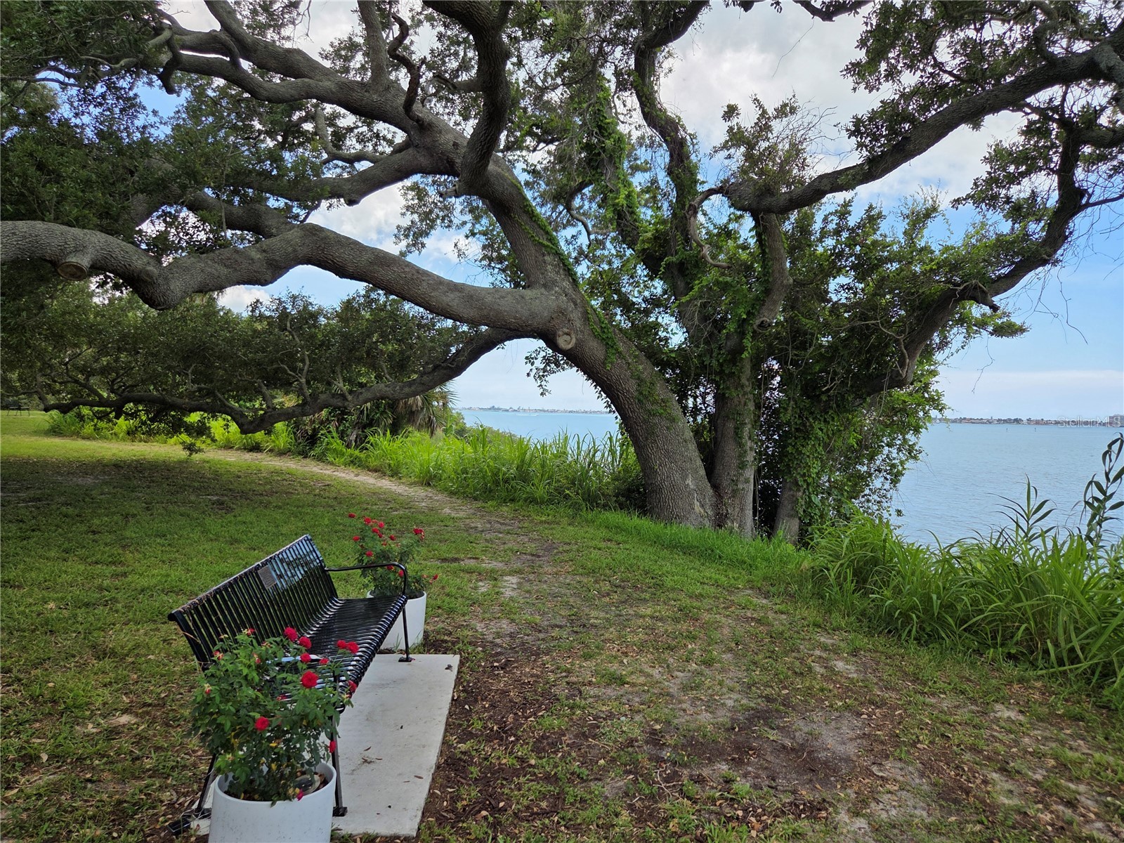 321 Wildwood Way Belleair FL 33756 TB8525382 image31