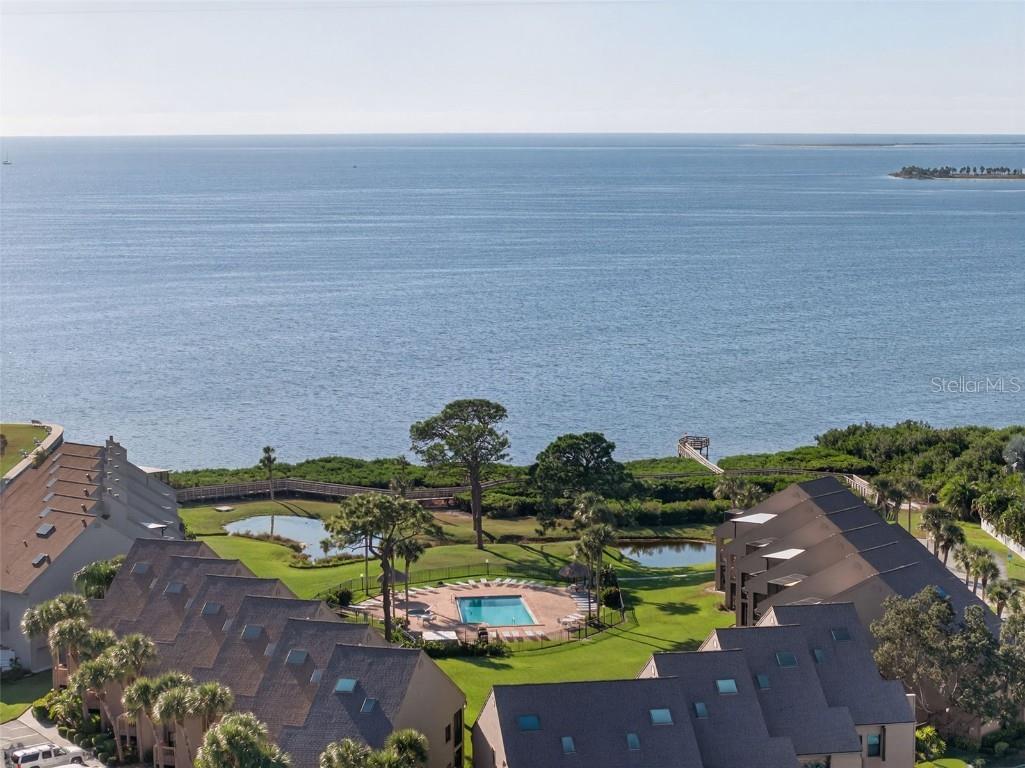 321 Windrush Loop Tarpon Springs FL 34689 TB8439864 image41