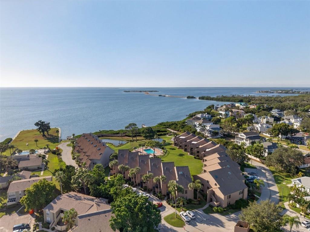 321 Windrush Loop Tarpon Springs FL 34689 TB8439864 image42