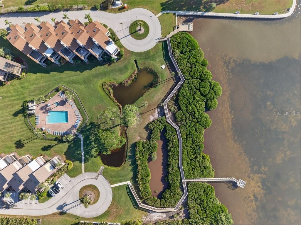 321 Windrush Loop Tarpon Springs FL 34689 TB8439864 image43