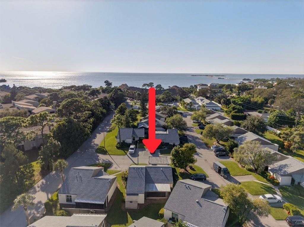 321 Windrush Loop Tarpon Springs FL 34689 TB8439864 image45