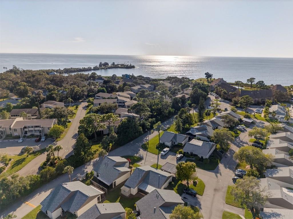 321 Windrush Loop Tarpon Springs FL 34689 TB8439864 image48