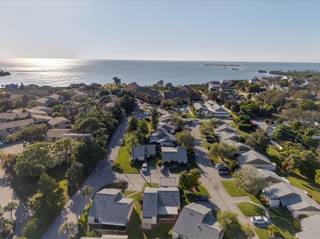 321 Windrush Loop Tarpon Springs FL 34689 TB8439864 image49