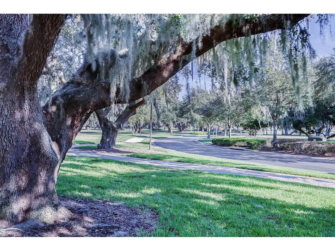 3210 Agostino Ter Kissimmee FL 34746 - LAKE TOHOPEKALIGA O6351361 image46