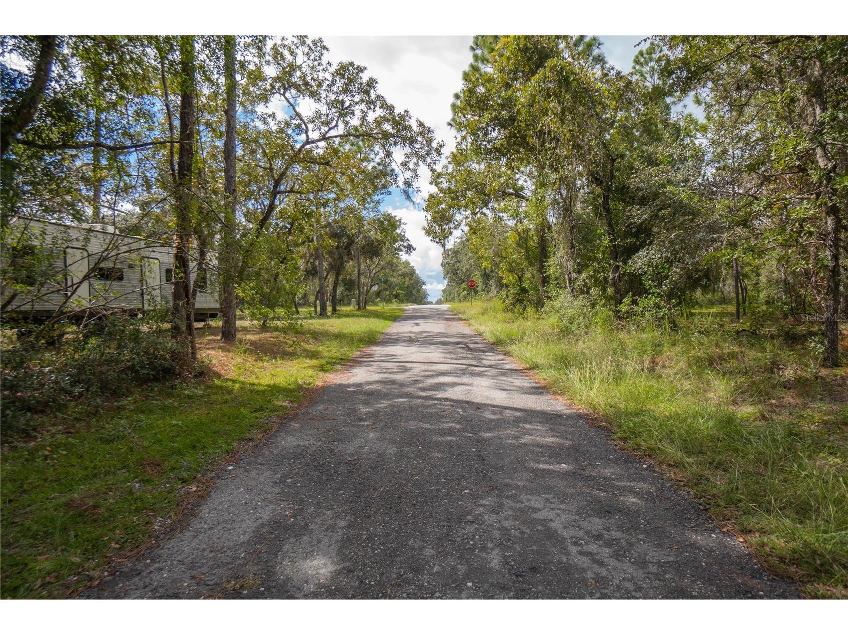3210 E Michael Street Inverness FL 34453 W7883407 image1