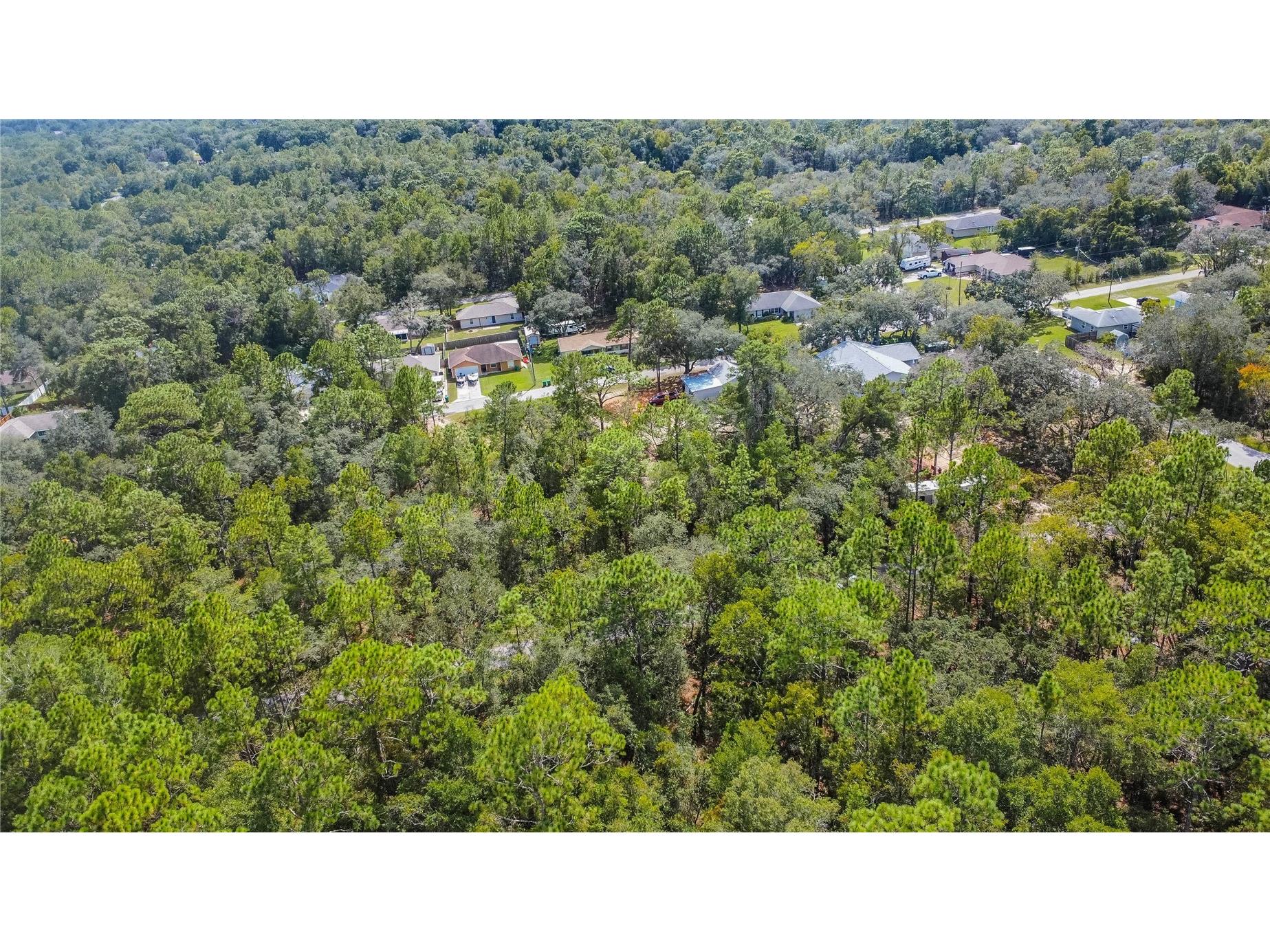 3210 E Michael Street Inverness FL 34453 W7883407 image10