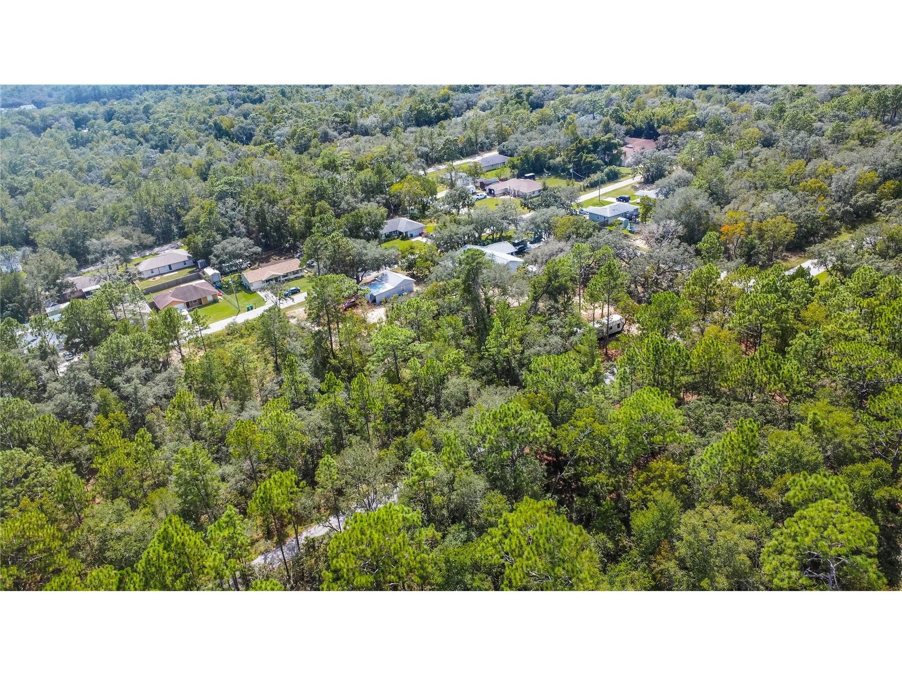 3210 E Michael Street Inverness FL 34453 W7883407 image11