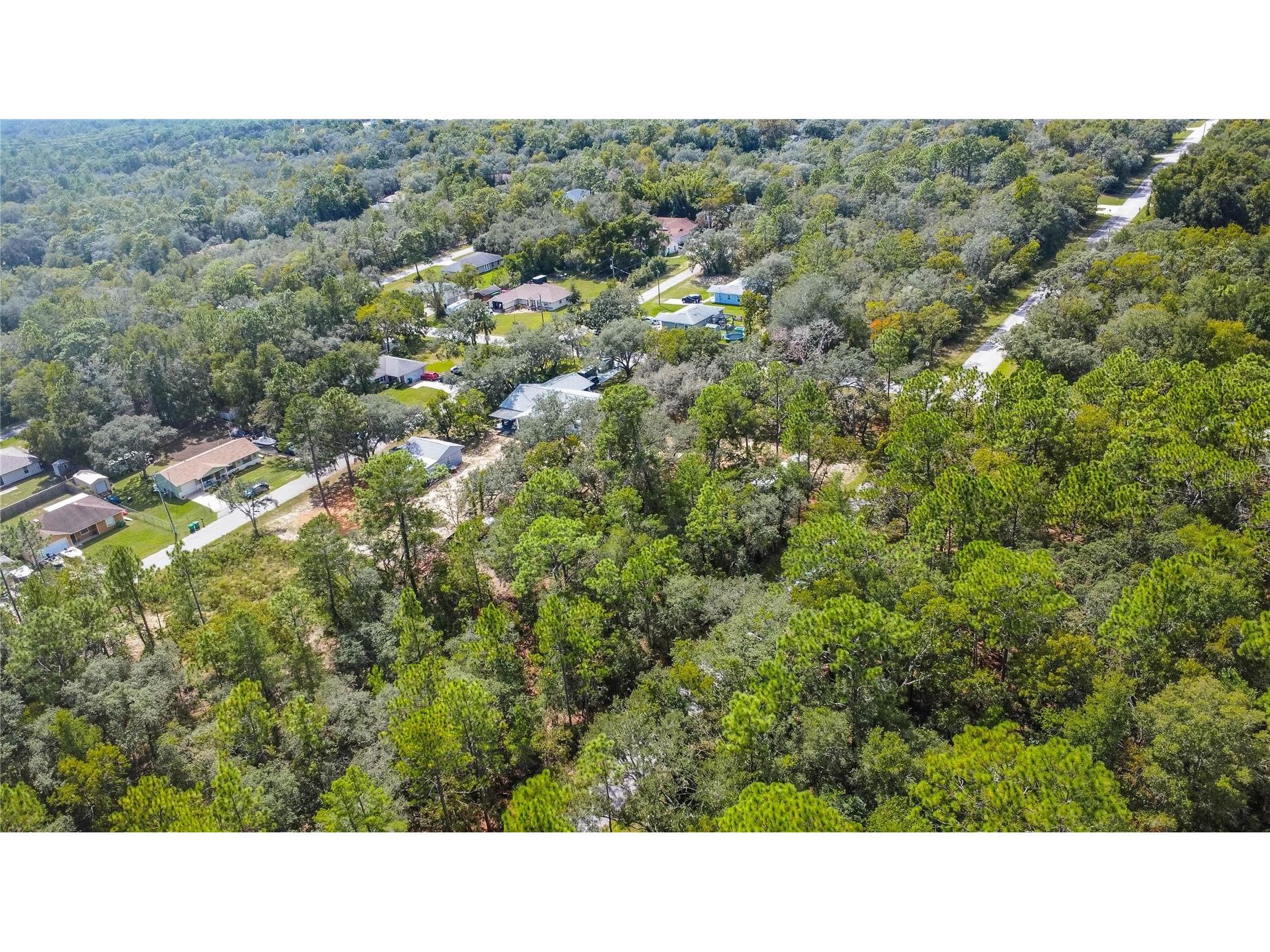 3210 E Michael Street Inverness FL 34453 W7883407 image12
