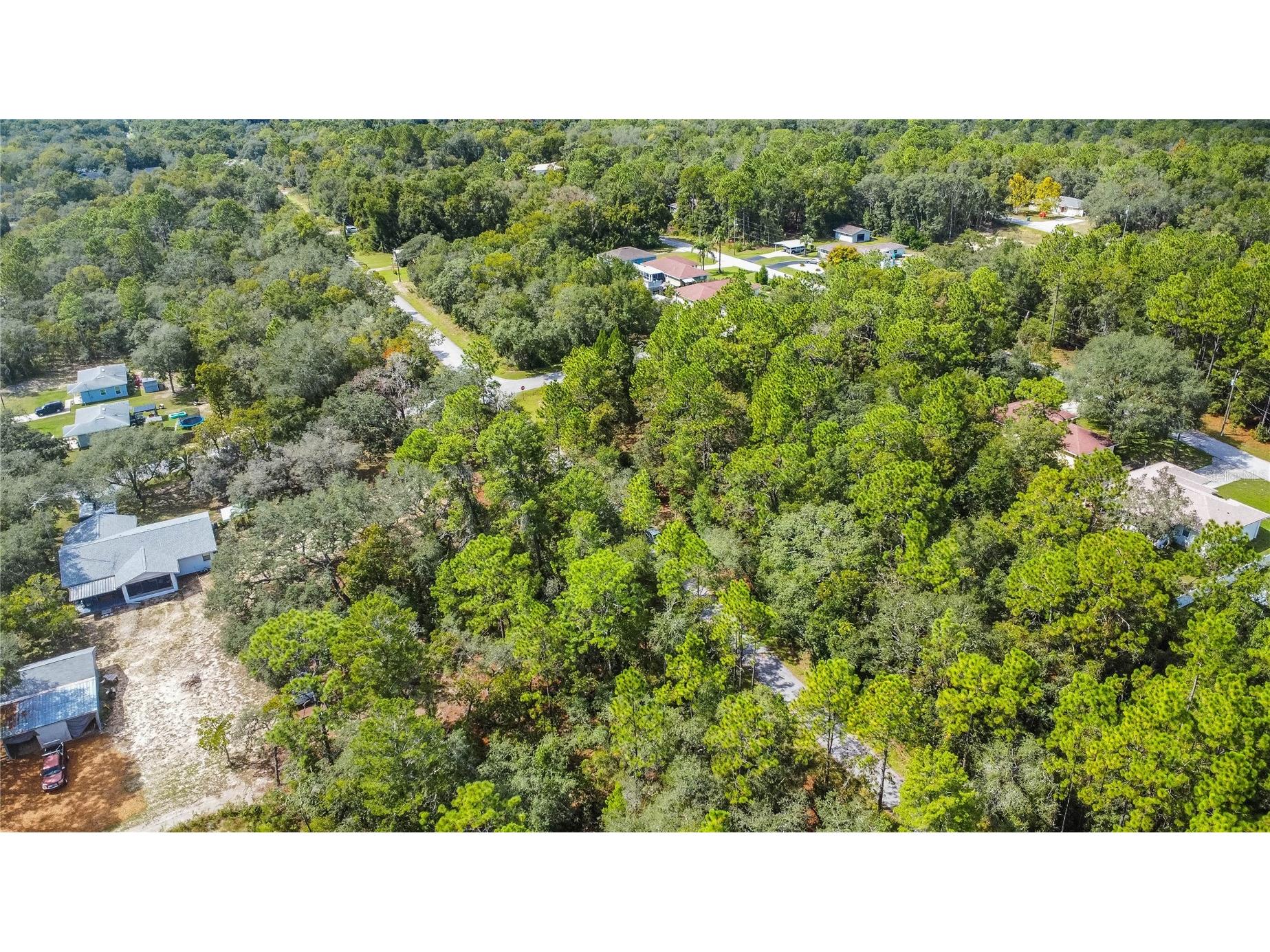 3210 E Michael Street Inverness FL 34453 W7883407 image14