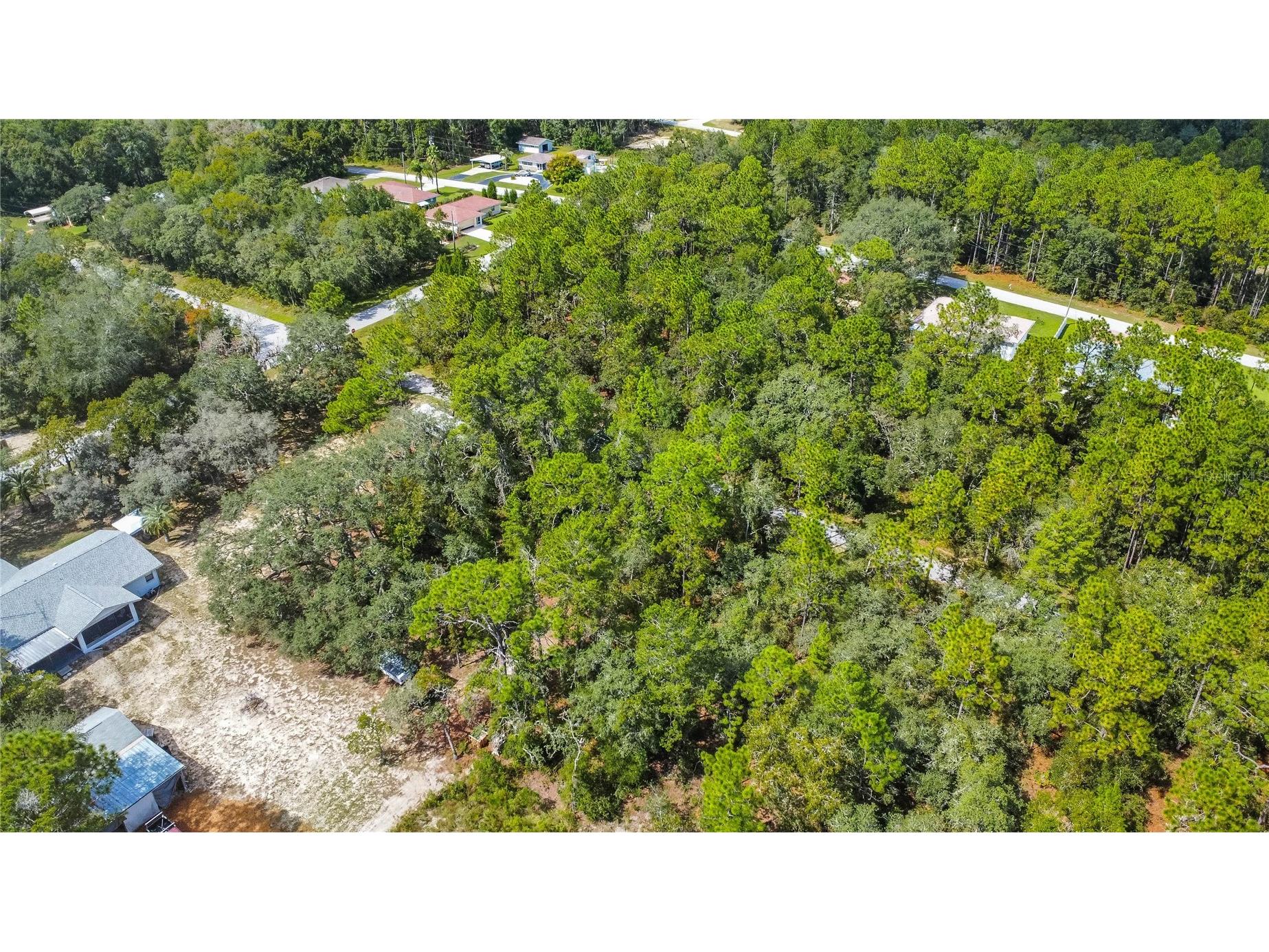 3210 E Michael Street Inverness FL 34453 W7883407 image15