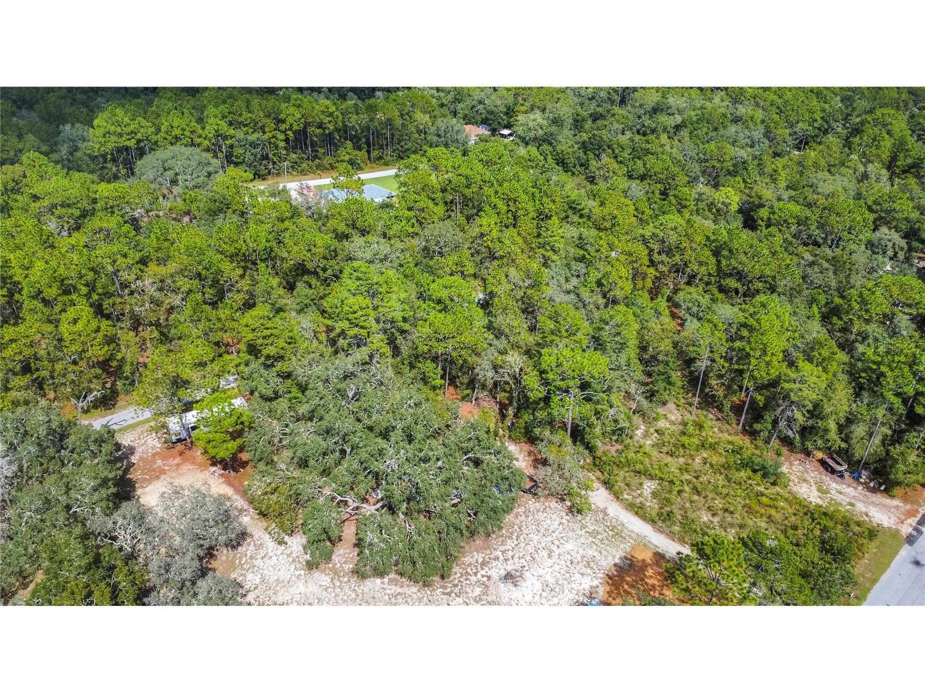 3210 E Michael Street Inverness FL 34453 W7883407 image17
