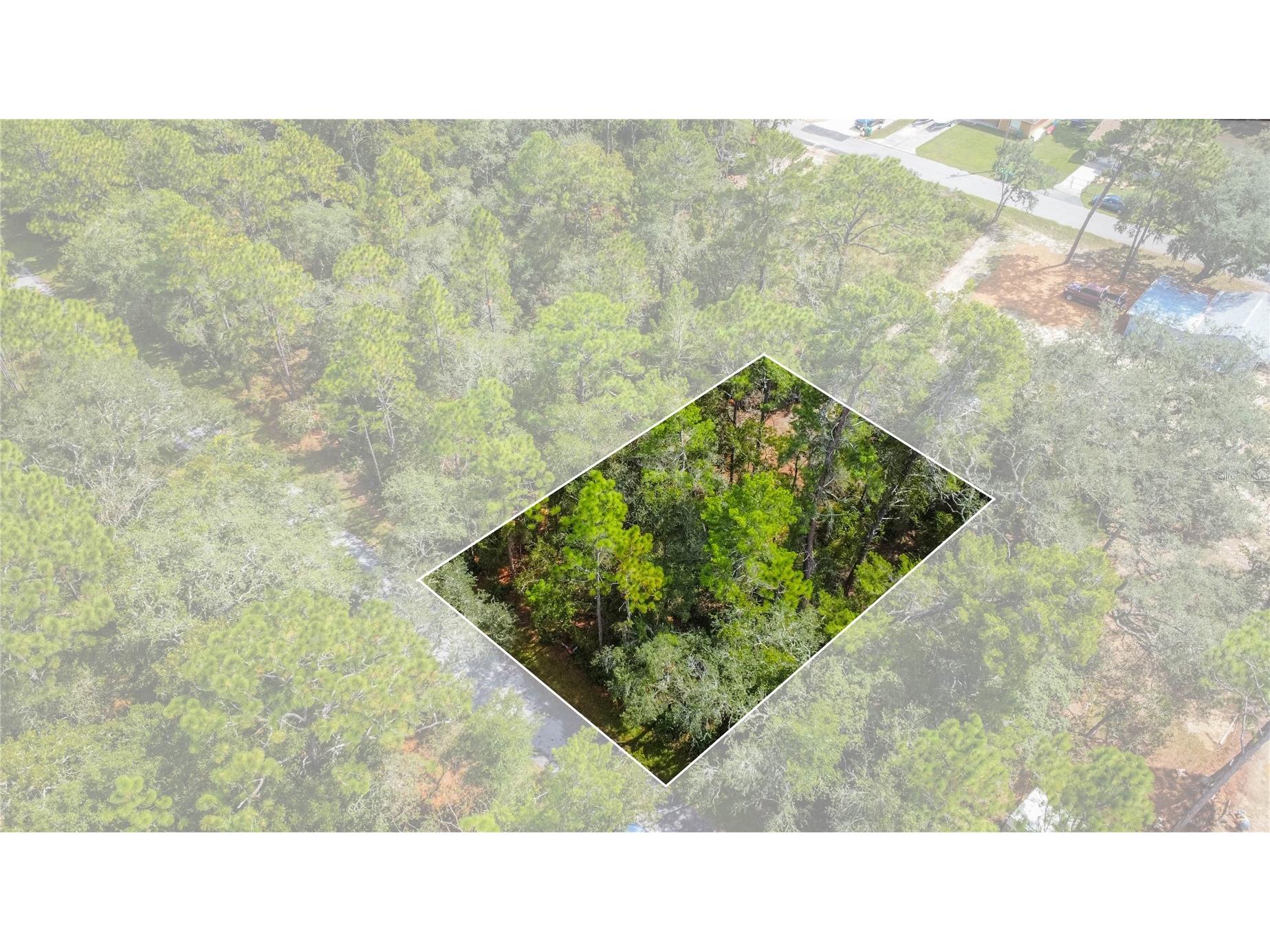 3210 E Michael Street Inverness FL 34453 W7883407 image20
