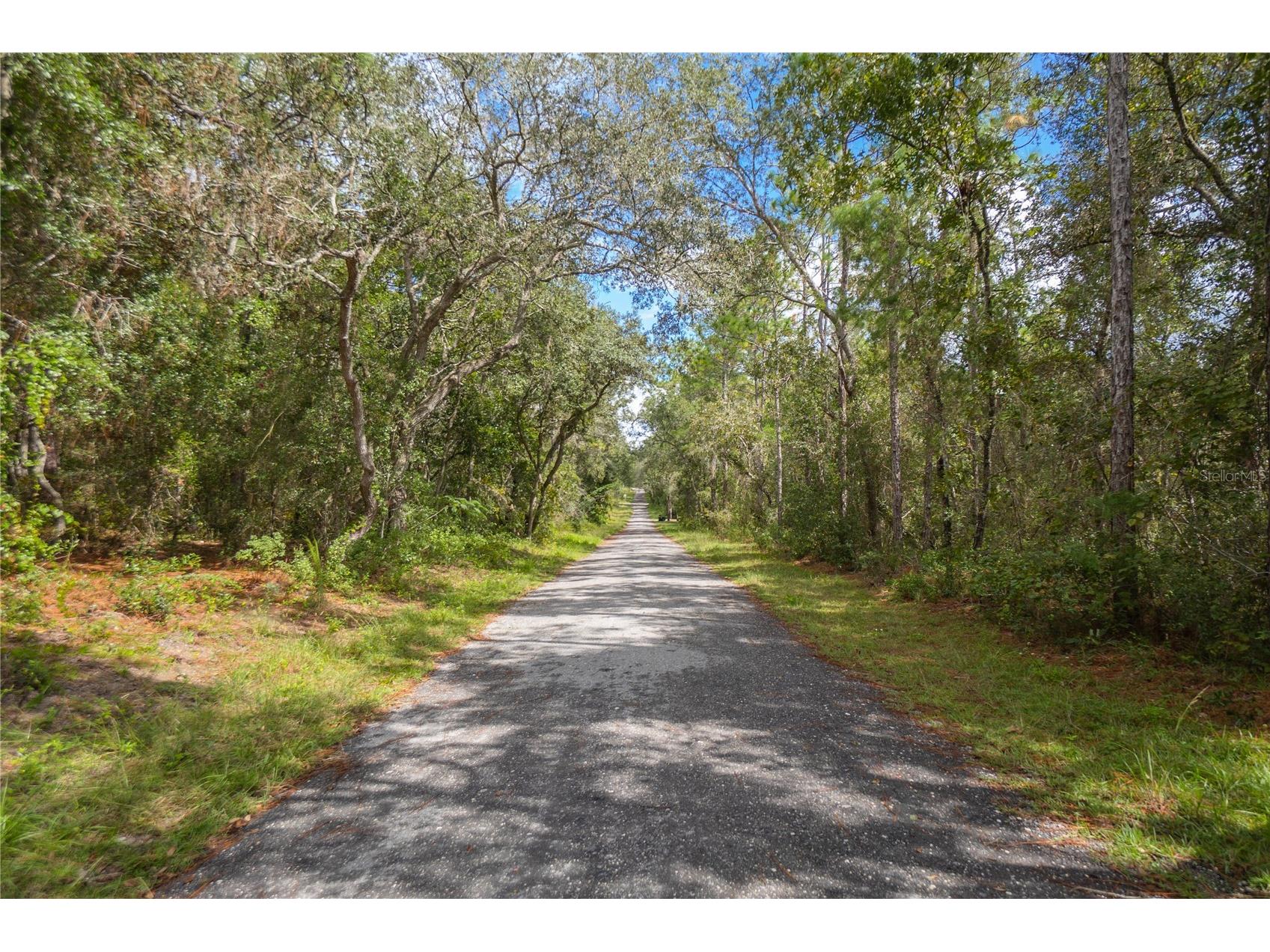 3210 E Michael Street Inverness FL 34453 W7883407 image21