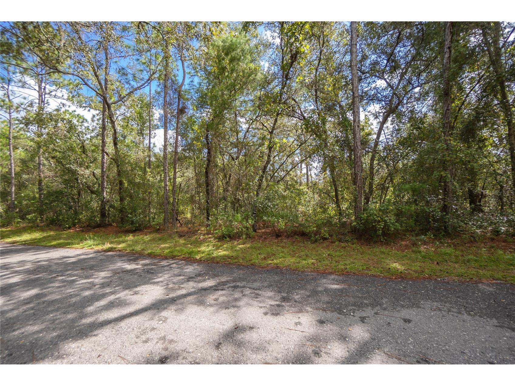 3210 E Michael Street Inverness FL 34453 W7883407 image3
