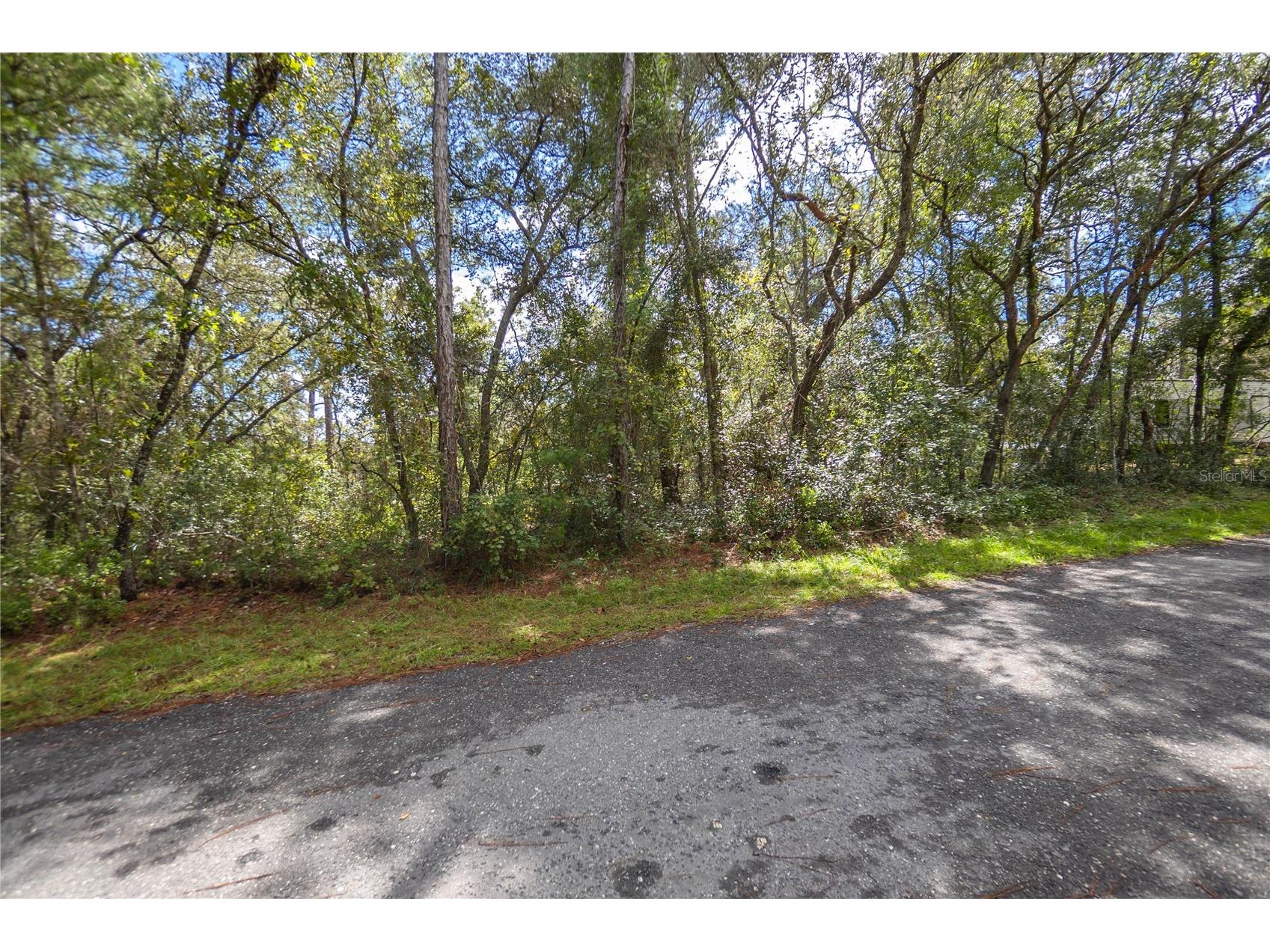 3210 E Michael Street Inverness FL 34453 W7883407 image4