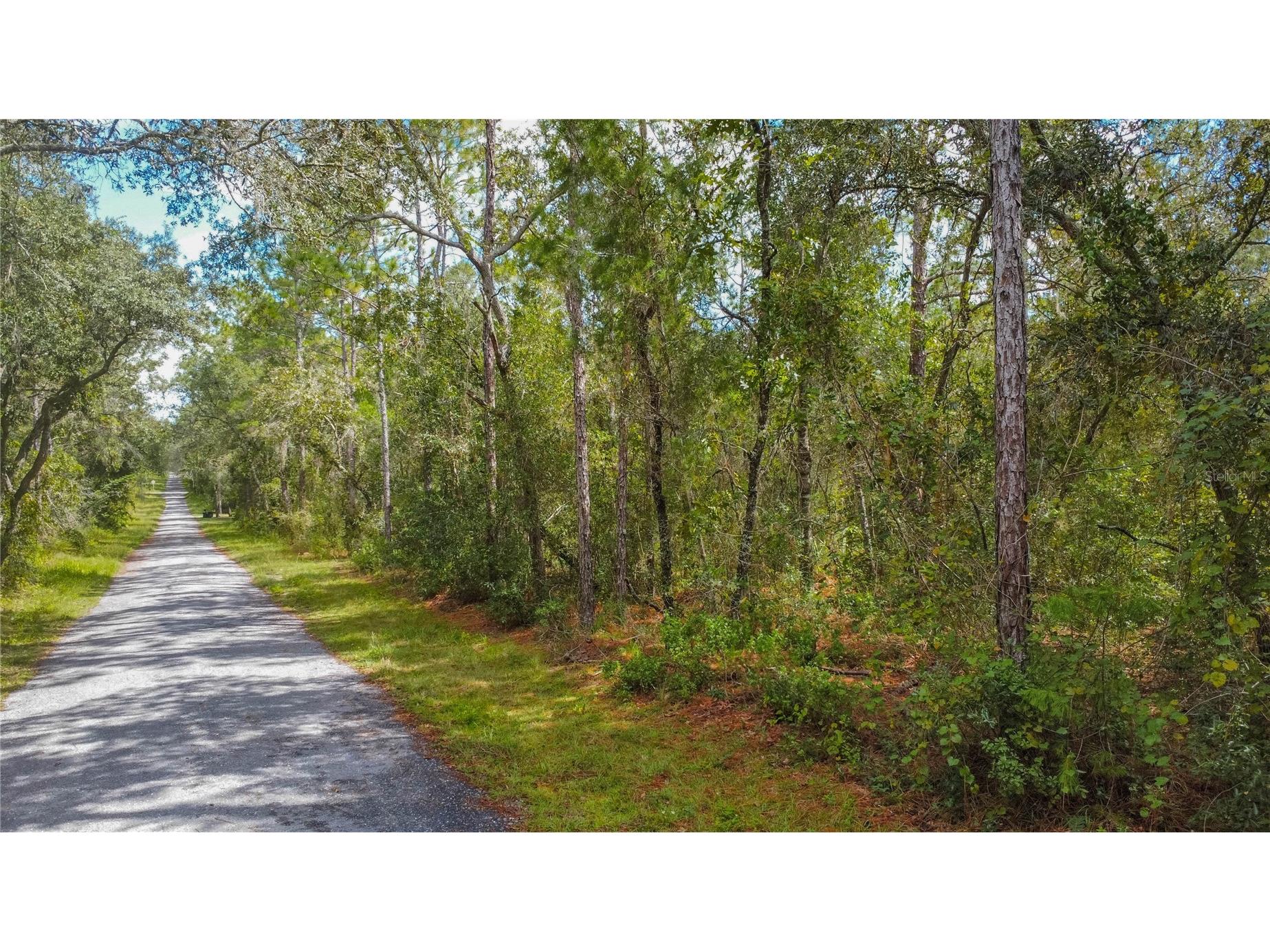 3210 E Michael Street Inverness FL 34453 W7883407 image5