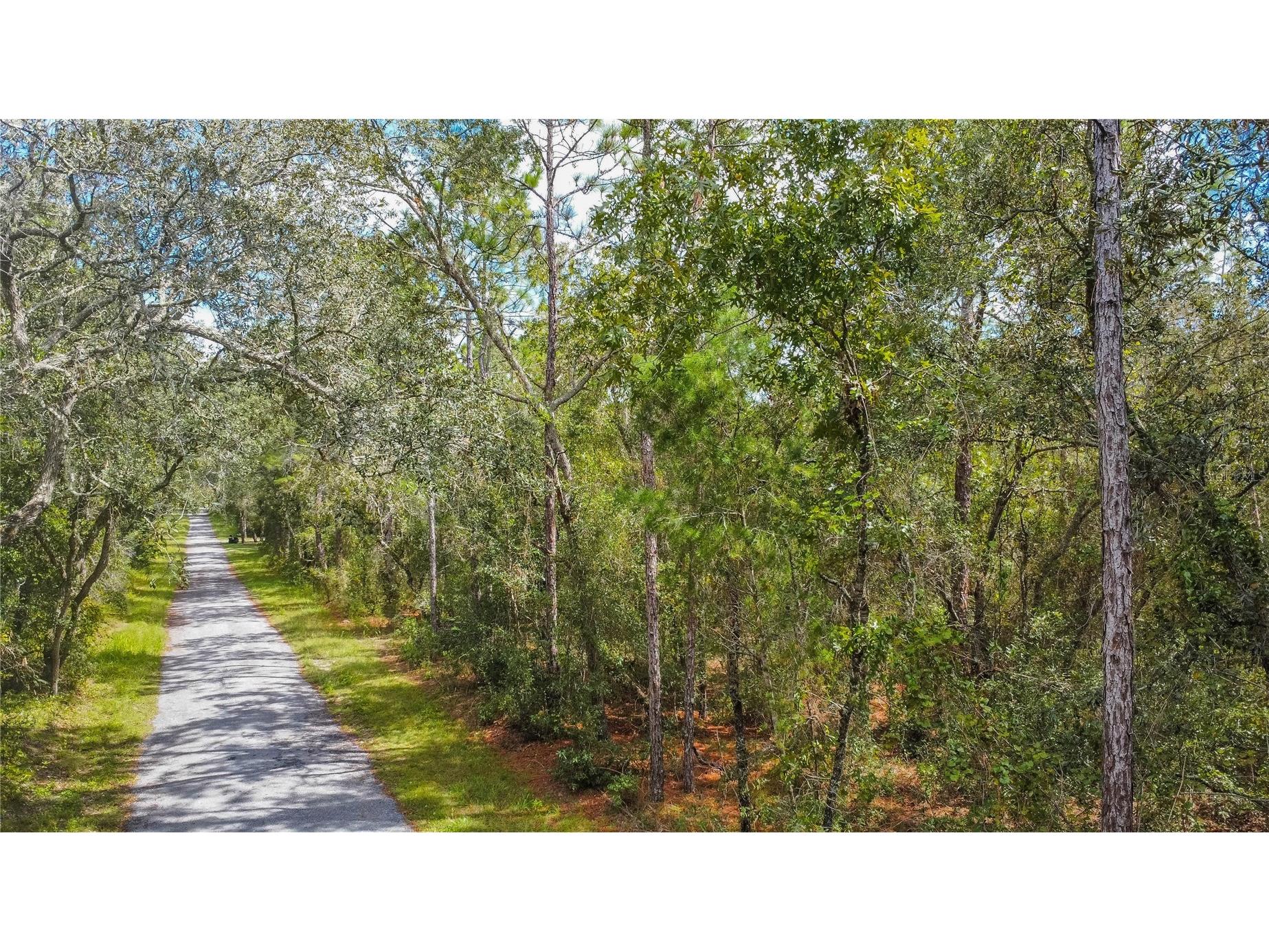 3210 E Michael Street Inverness FL 34453 W7883407 image6