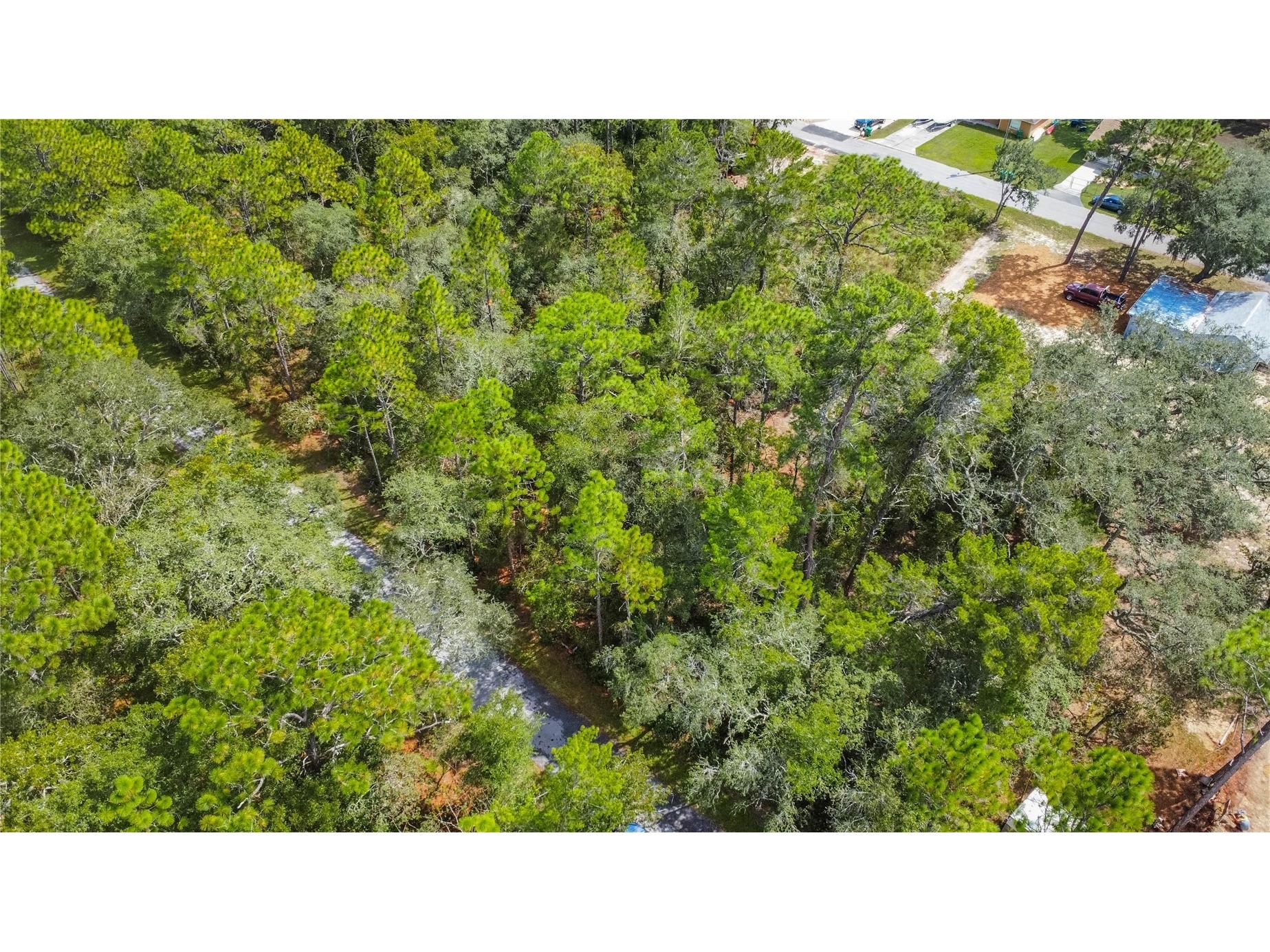 3210 E Michael Street Inverness FL 34453 W7883407 image7