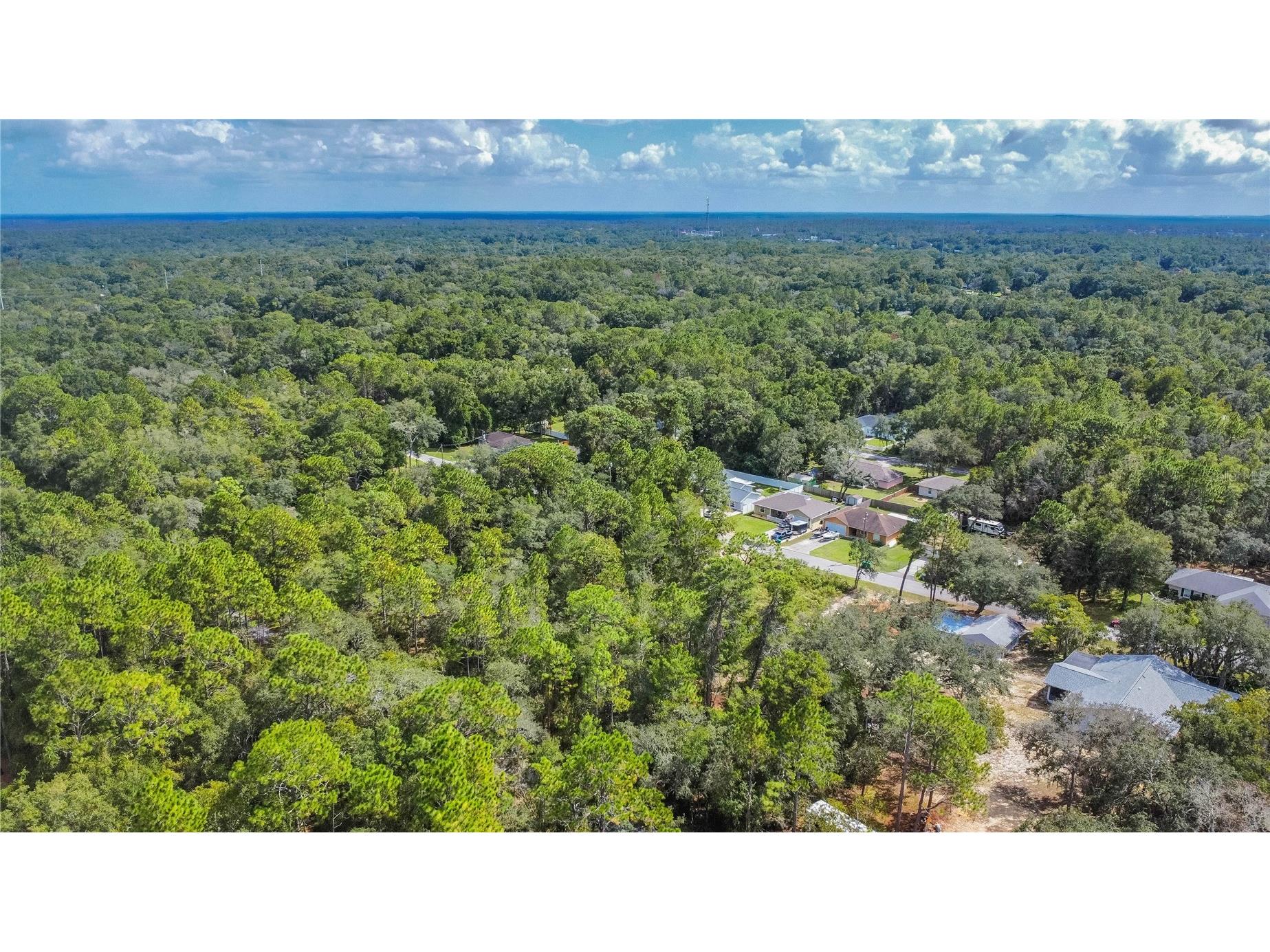3210 E Michael Street Inverness FL 34453 W7883407 image8