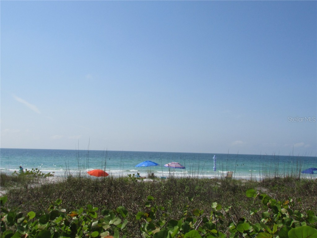 3210 Gulf Boulevard #301 Belleair Beach FL 33786 - GULF OF MEXICO TB8401064 image16
