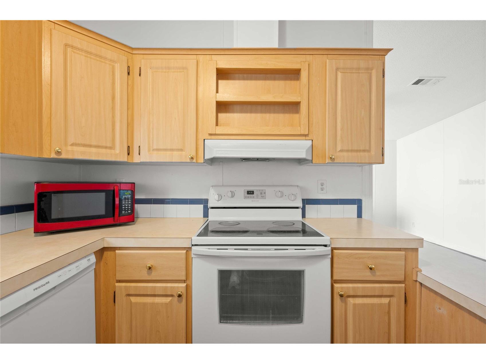 3210 Hickory Drive Wesley Chapel FL 33543 TB8494702 image10