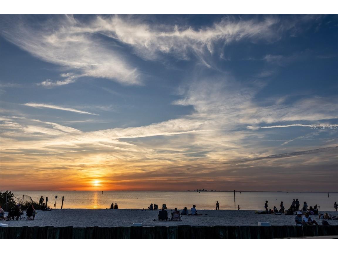 3210 Mangrove Point Drive Ruskin FL 33570 TB8367343 image47