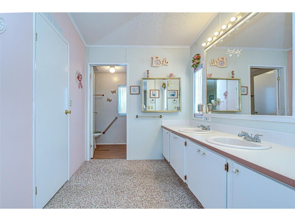 3210 Moonlight Street Wesley Chapel FL 33543 TB8457076 image41