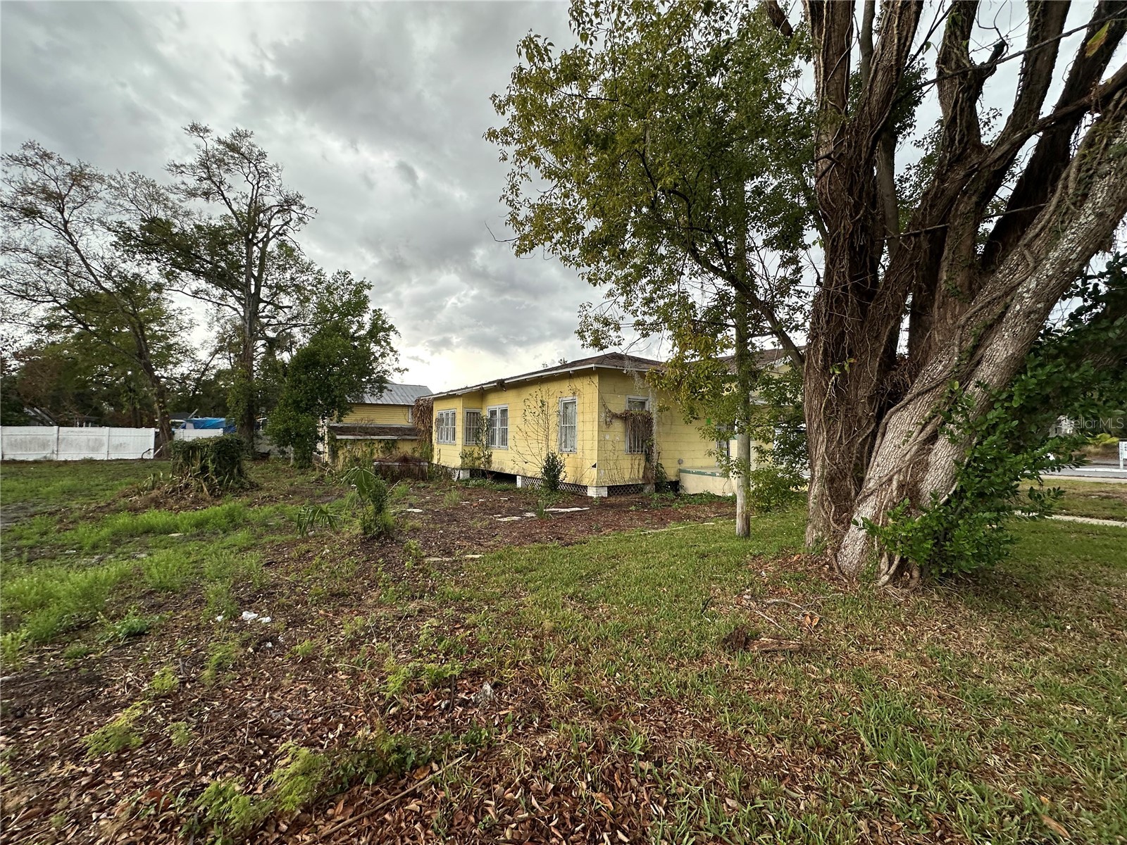 3210 N Tampa Street Tampa FL 33603 TB8483401 image4