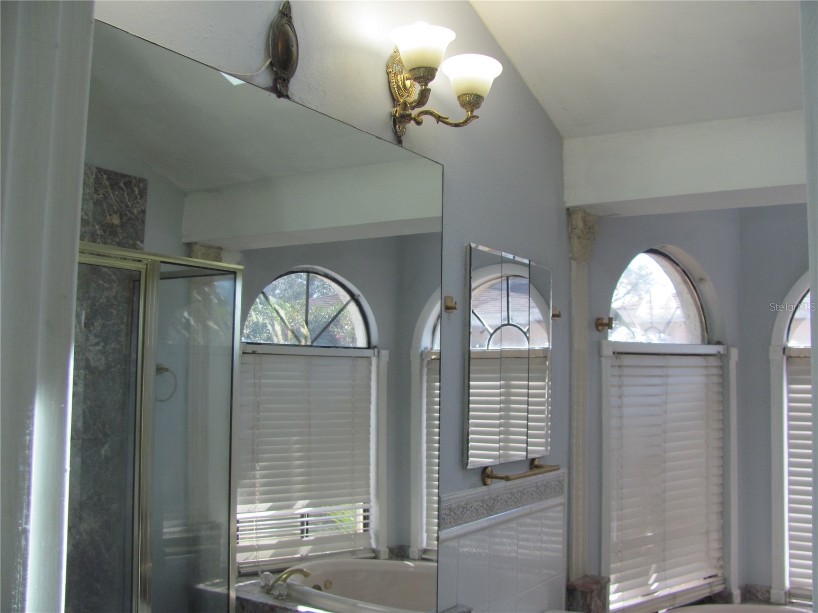 3210 Silkwood Loop Land O Lakes FL 34639 TB8434177 image23