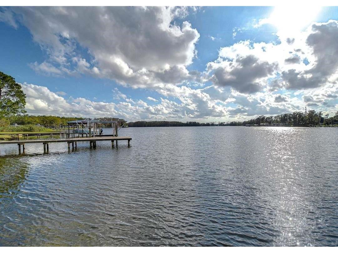 3210 Silkwood Loop Land O Lakes FL 34639 TB8434177 image30