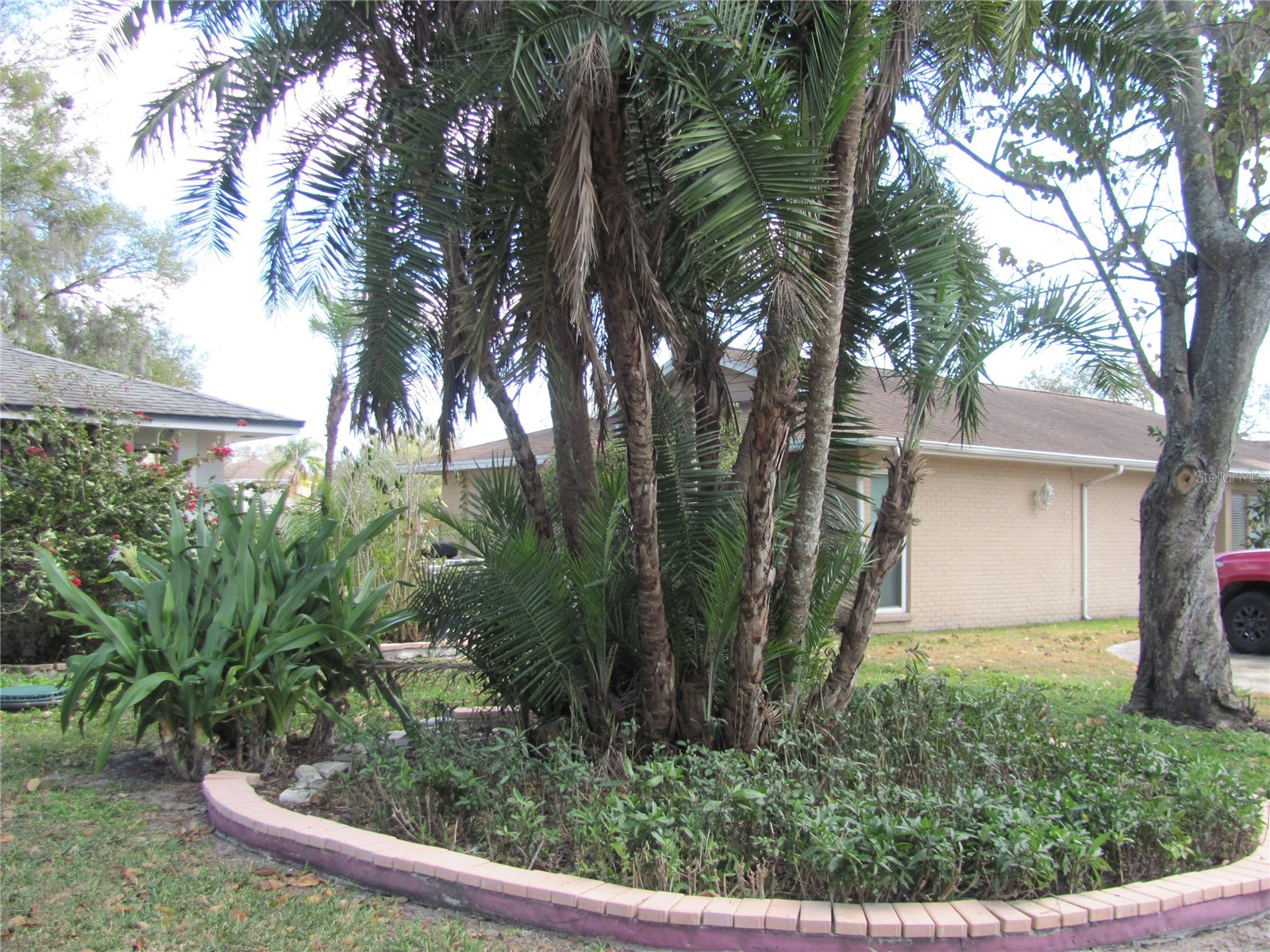 3210 Silkwood Loop Land O Lakes FL 34639 TB8434177 image36