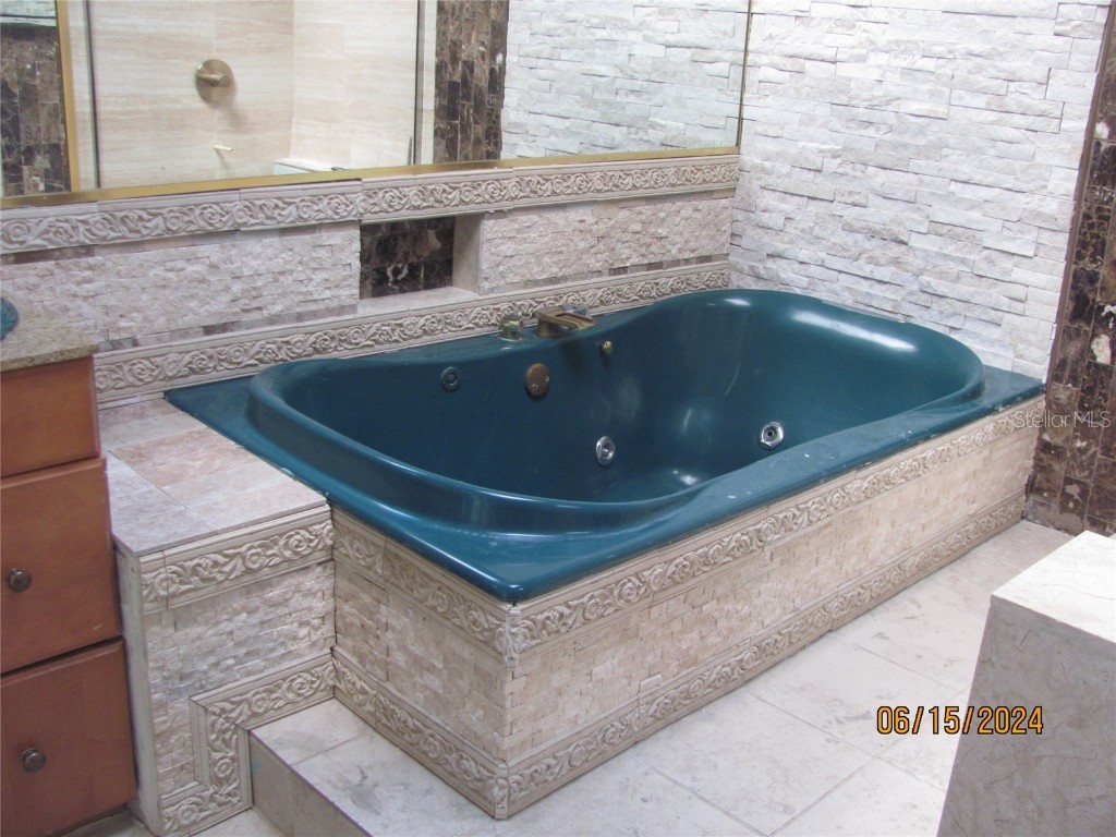 3210 Silkwood Loop Land O Lakes FL 34639 TB8434177 image4