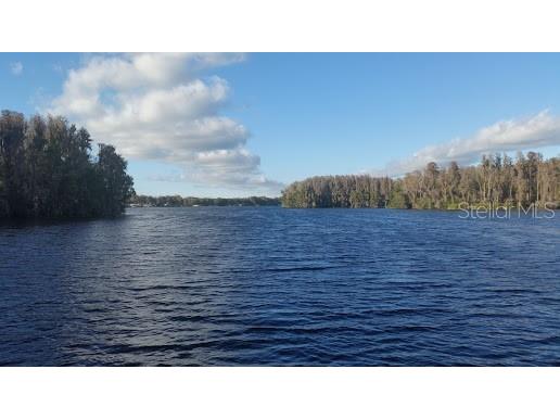3210 Silkwood Loop Land O Lakes FL 34639 TB8434177 image42
