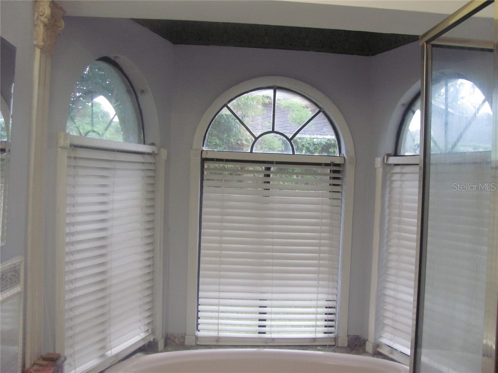 3210 Silkwood Loop Land O Lakes FL 34639 TB8434177 image6