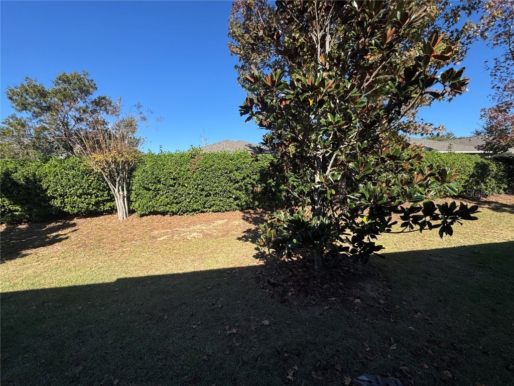 3210 Sonesta Court #B Clermont FL 34711 O6367946 image13