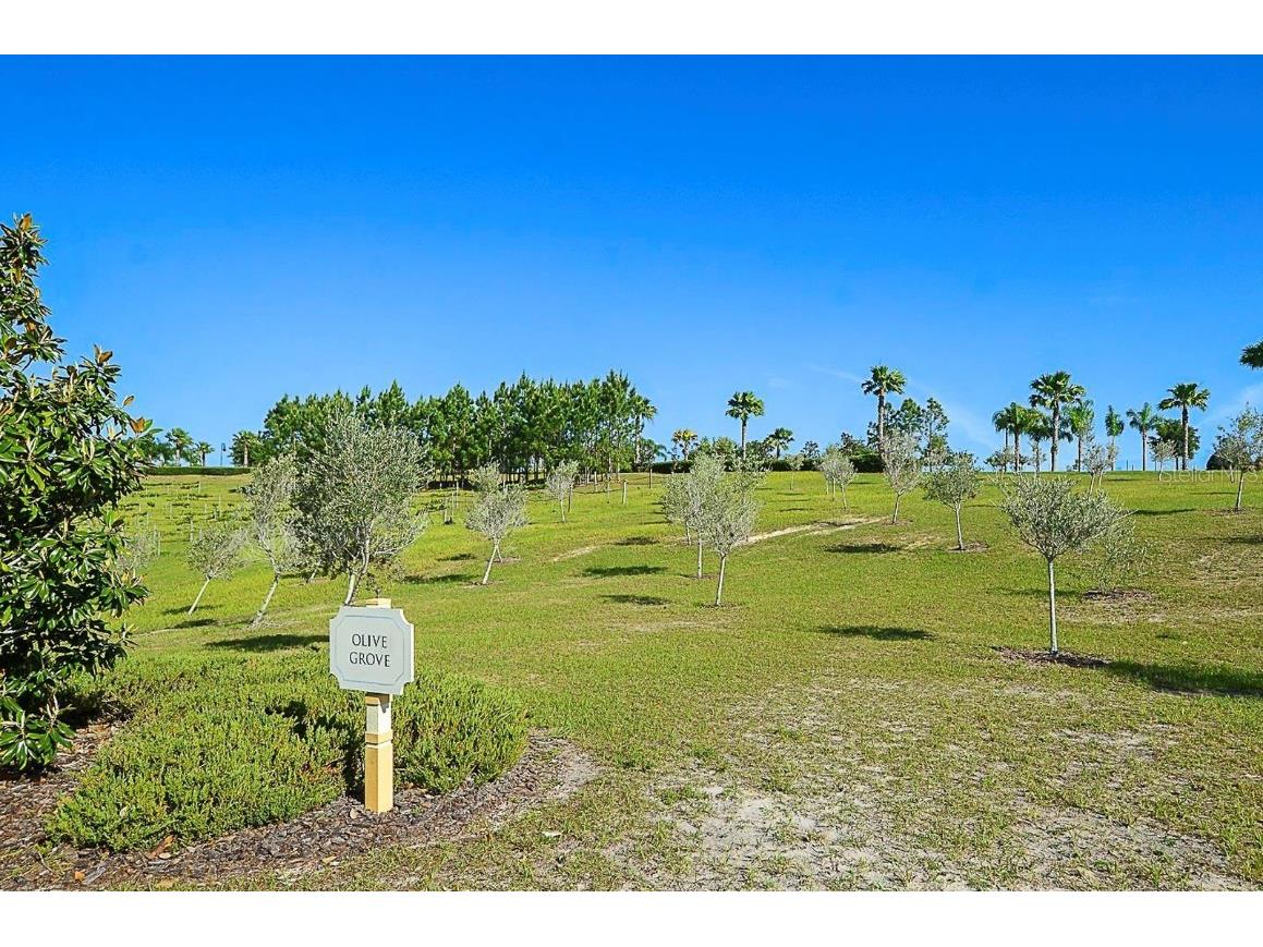 3210 Sonesta Court #B Clermont FL 34711 O6367946 image30