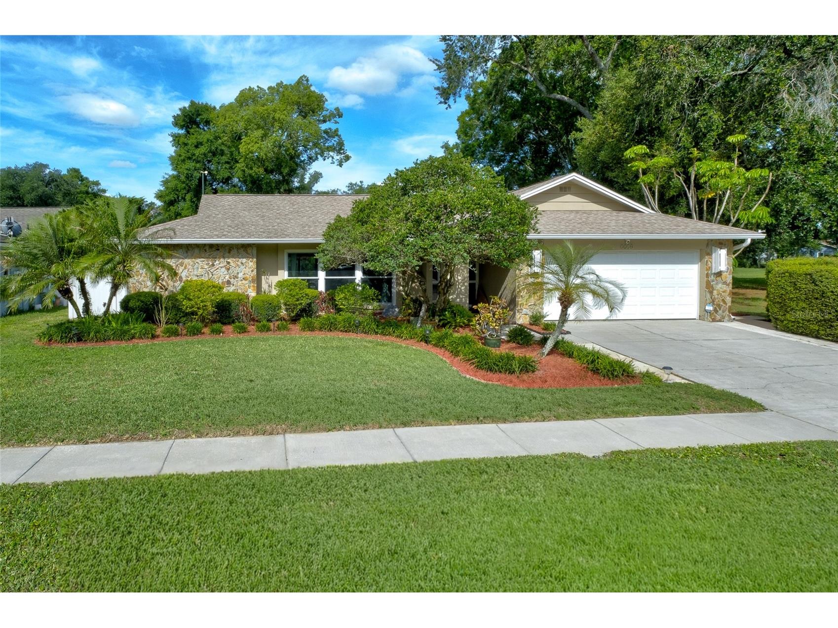 3210 Tarabrook Drive Tampa FL 33618 TB8497573 image1