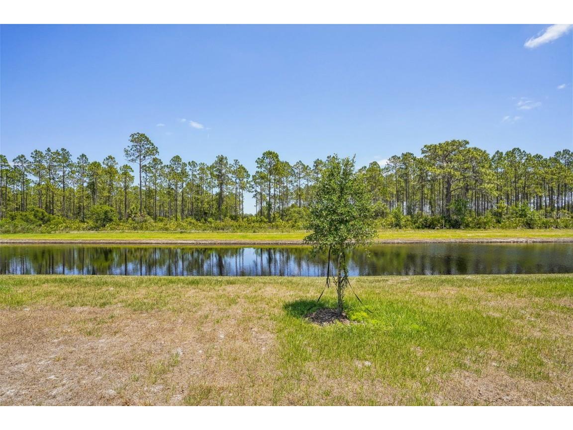 3210 Viceroy Court Poinciana FL 34759 O6311435 image29