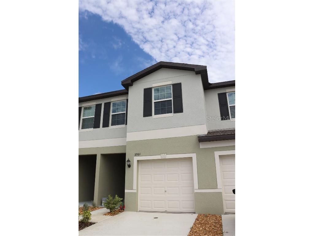 32101 Powderpuff Mimosa Drive San Antonio FL 33576 T3476356 image1