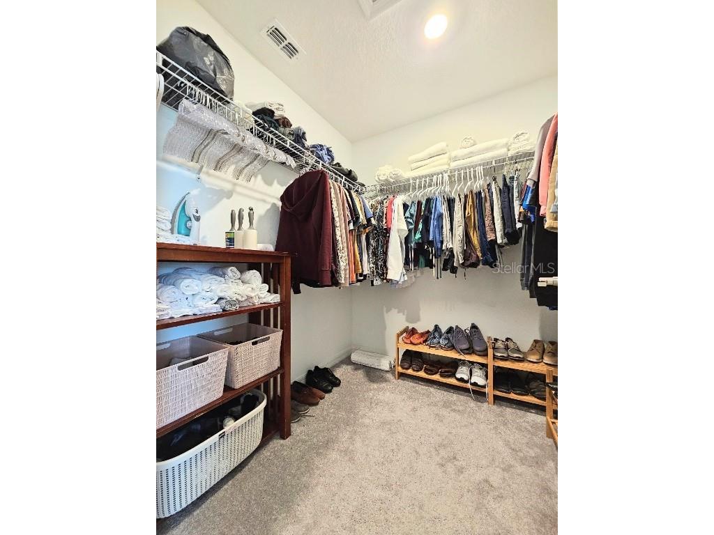 32105 Powderpuff Mimosa Drive San Antonio FL 33576 TB8427342 image10