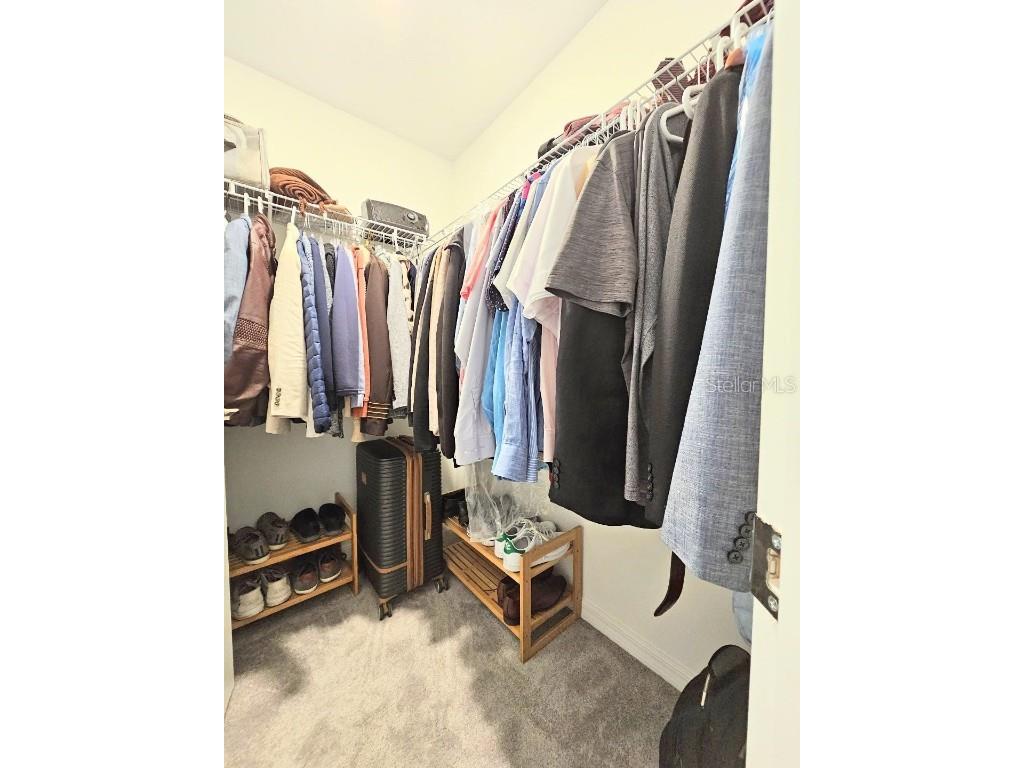 32105 Powderpuff Mimosa Drive San Antonio FL 33576 TB8427342 image11